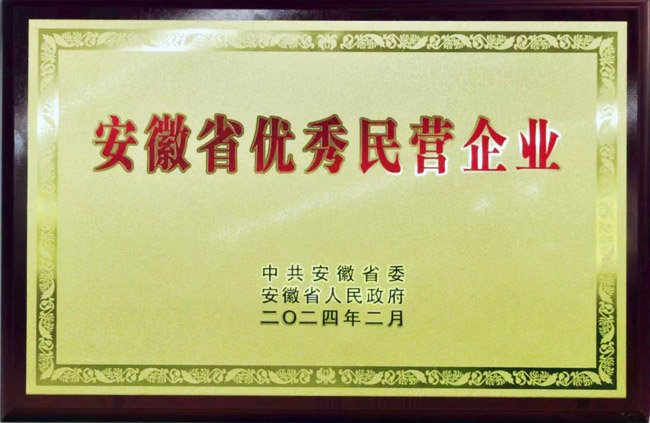 热烈祝贺PG直营不凡成就非凡股份荣获安徽省优良民营企业称号